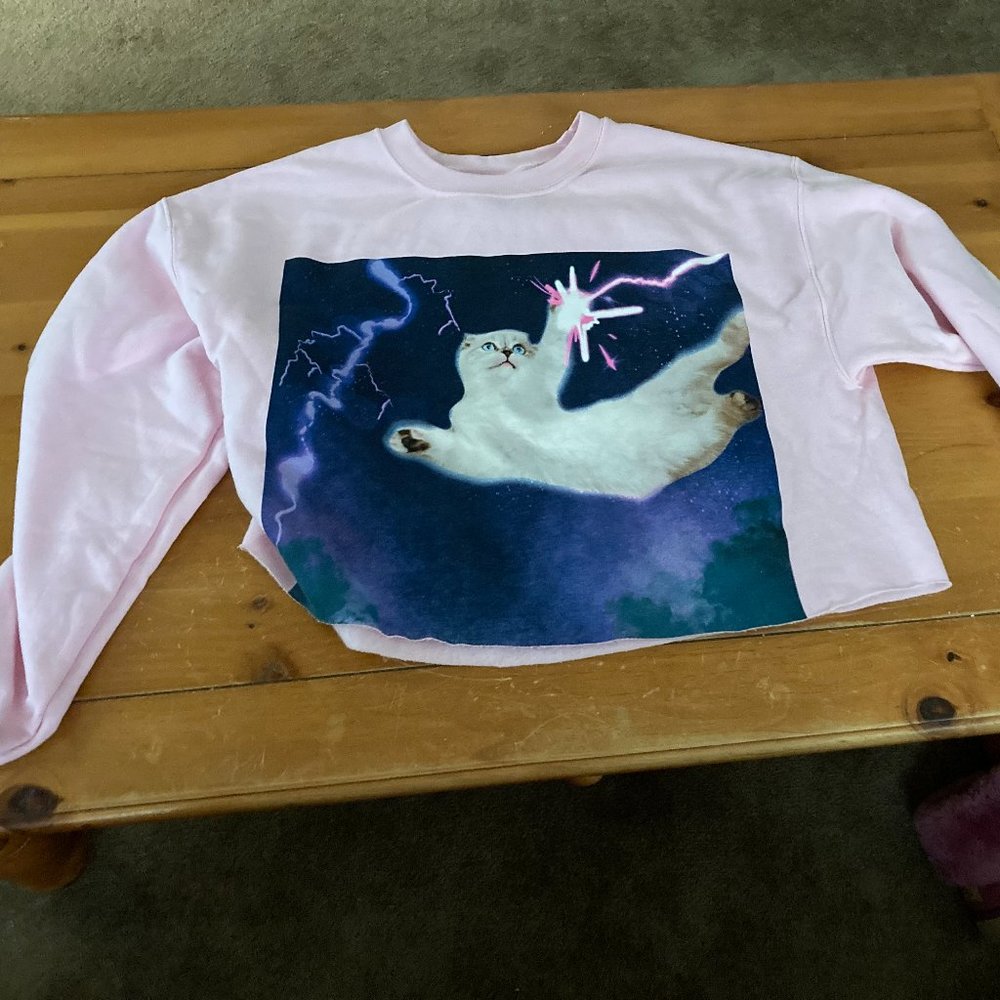 Official Taylor Swift Merch Pink Cropped Olivia Cat Lightning Sweatshirt Large L